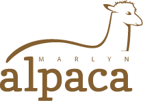 Marlyn Alpaca Logo